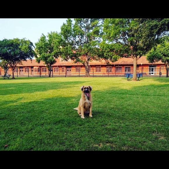 Meet your Posher, Jennifer - Picture 1 of 1